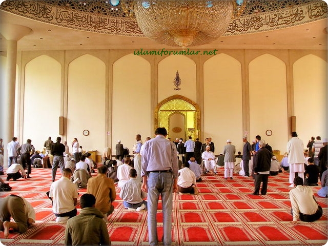 islamiforu.jpg