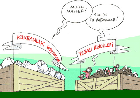 k6.jpg