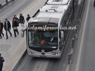 metrobus11.jpg