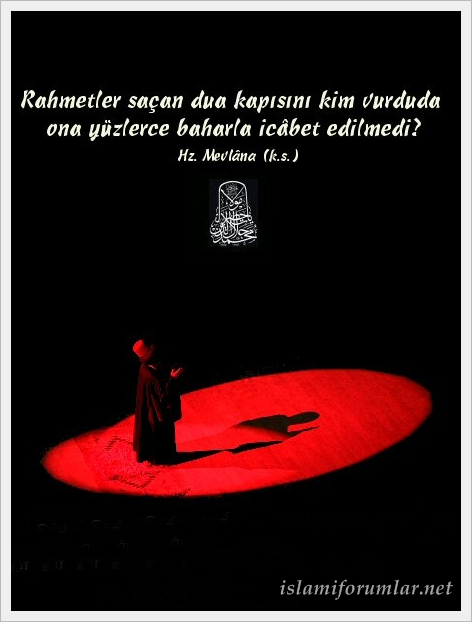 mevlanagn9.png