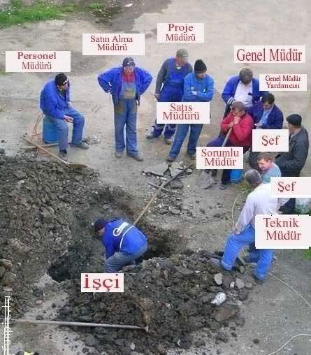 tcalisma.jpg