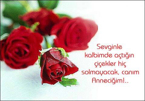 annem.jpg