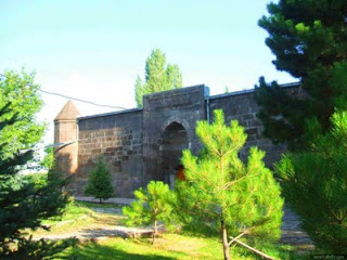 bunyanulucamii.jpg