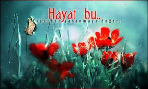 hayatbu.jpg