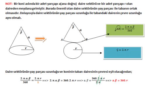 koni7.jpg