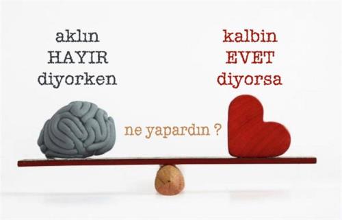neyapardin.jpg