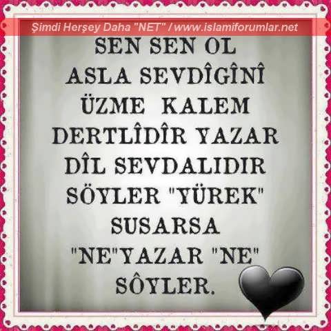 sensenol.jpg