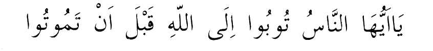 6.gif