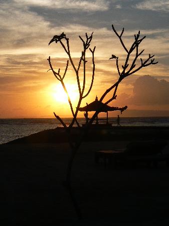 earlymorningatnusa.jpg