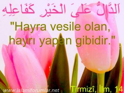 hadis.jpg