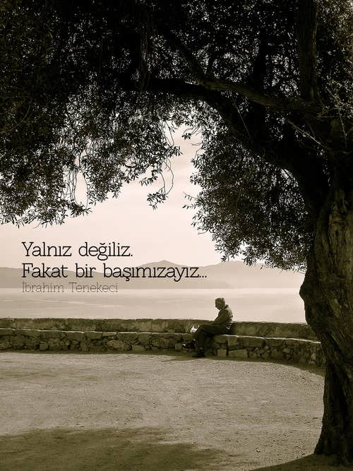 yanlizdegiliz.jpg