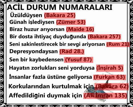 acildurumnumaraalari.jpg