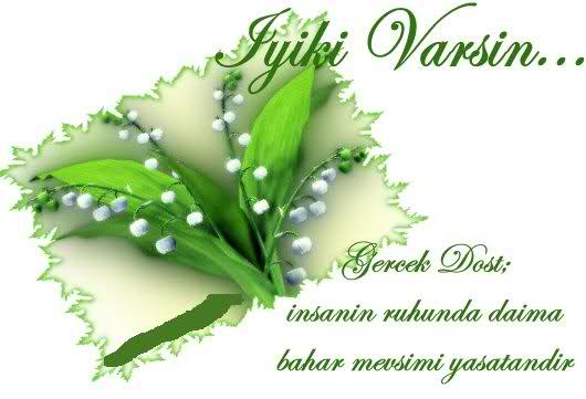 iyikivarsin.jpg