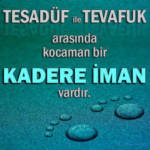tesadfvetevafuk.jpg