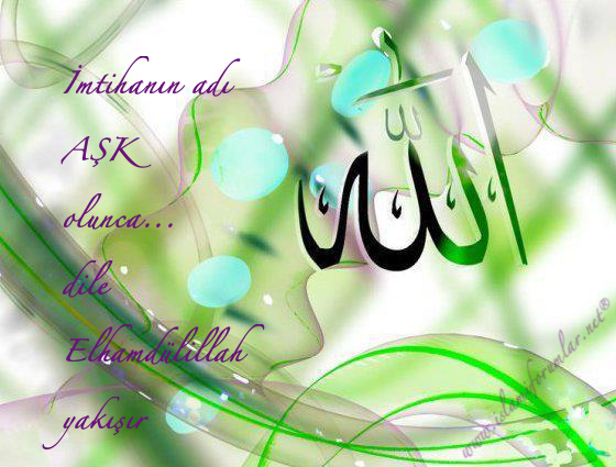 yaallah.jpg