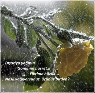 yagmurvegul.jpg